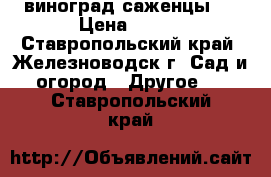 виноград саженцы . › Цена ­ 150 - Ставропольский край, Железноводск г. Сад и огород » Другое   . Ставропольский край